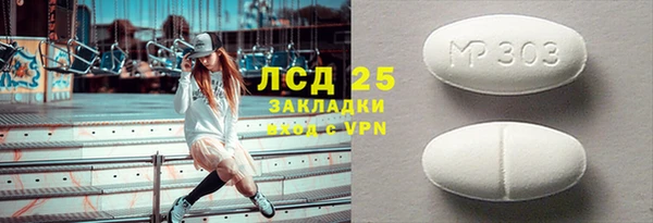 индика Беломорск