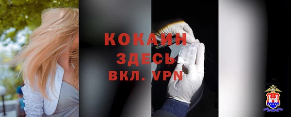 мдпв Белокуриха