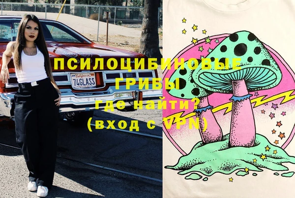 индика Беломорск