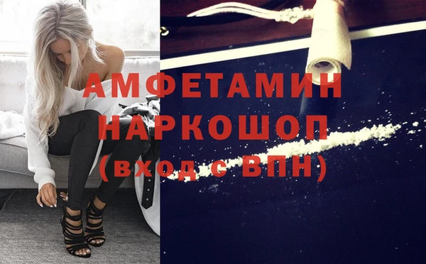 индика Беломорск
