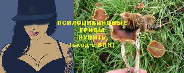 прущая мука Белоозёрский
