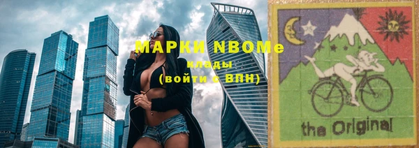 индика Беломорск