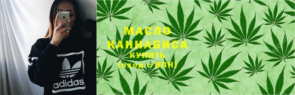 индика Беломорск